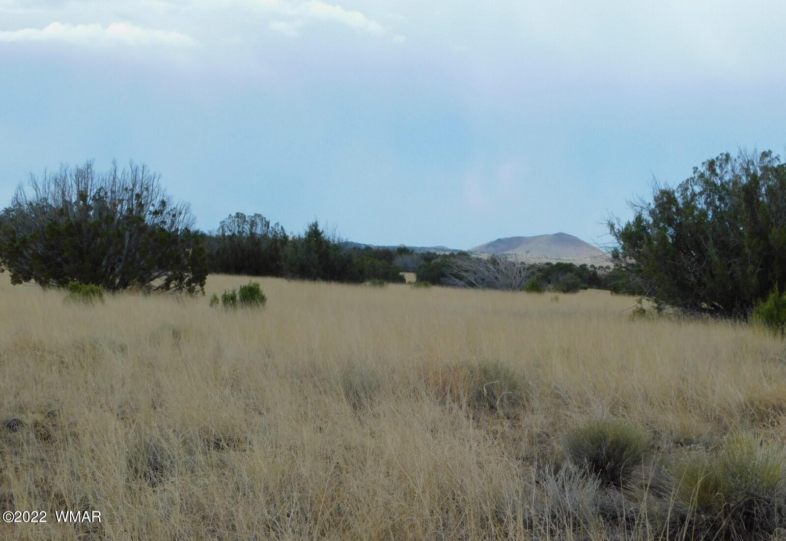 Lot 43 County Road Concho, AZ 85924 - Photo 6 of 18 Gallery Image 6