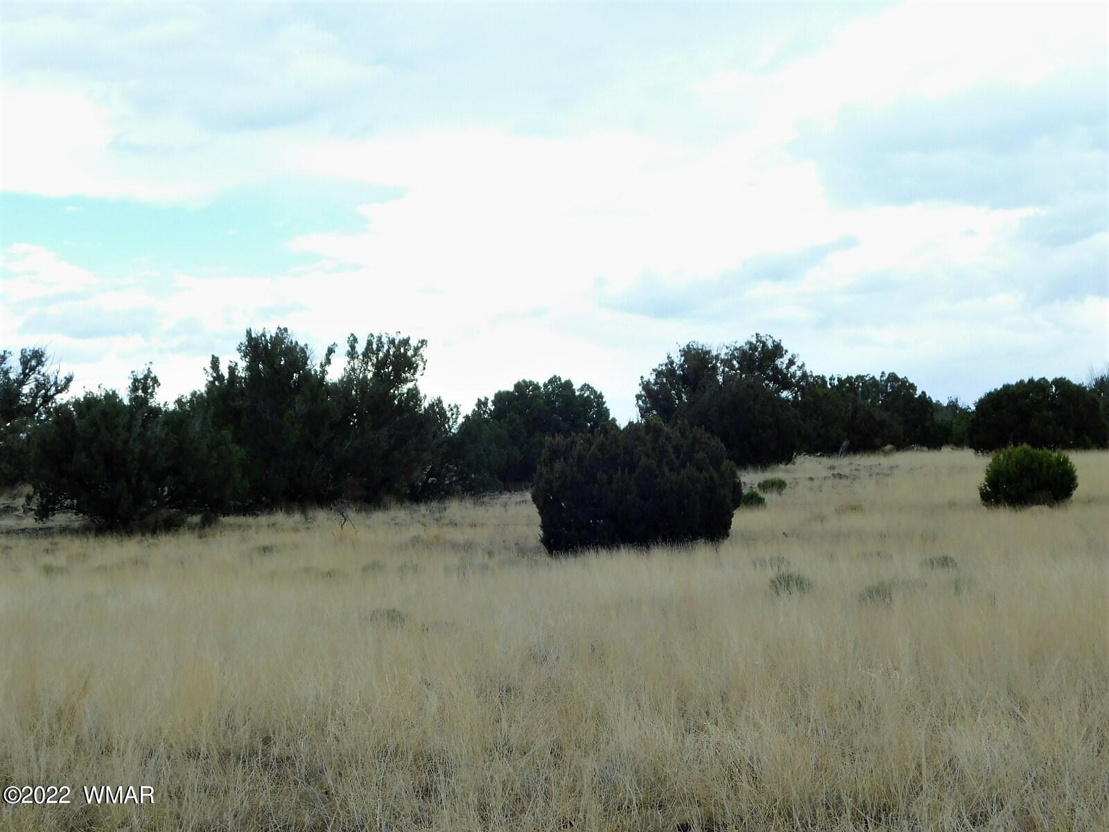 Lot 43 County Road Concho, AZ 85924 - Photo 8 of 18 Gallery Image 8