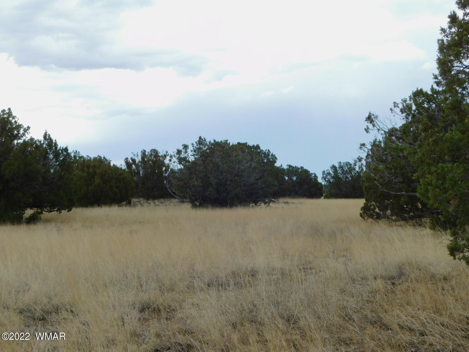 Lot 43 County Road Concho, AZ 85924 - Photo 9 of 18 Gallery Image 9