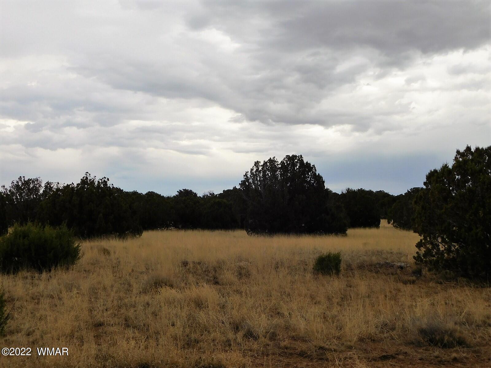 Lot 43 County Road Concho, AZ 85924 - Photo 10 of 18 Gallery Image 10