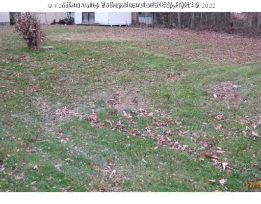 925 Grandview Road Daniels, WV 25832 - Photo 16 of 16 Yard/Garden.