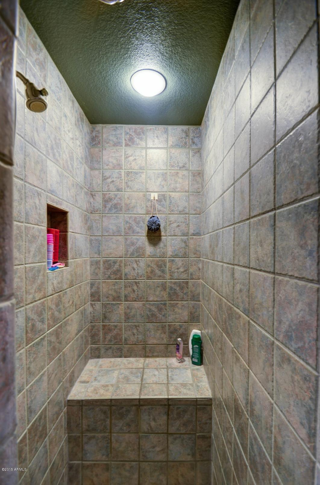 3060 East Hope Street Mesa, AZ 85213 - Photo 14 of 48 Master Shower
