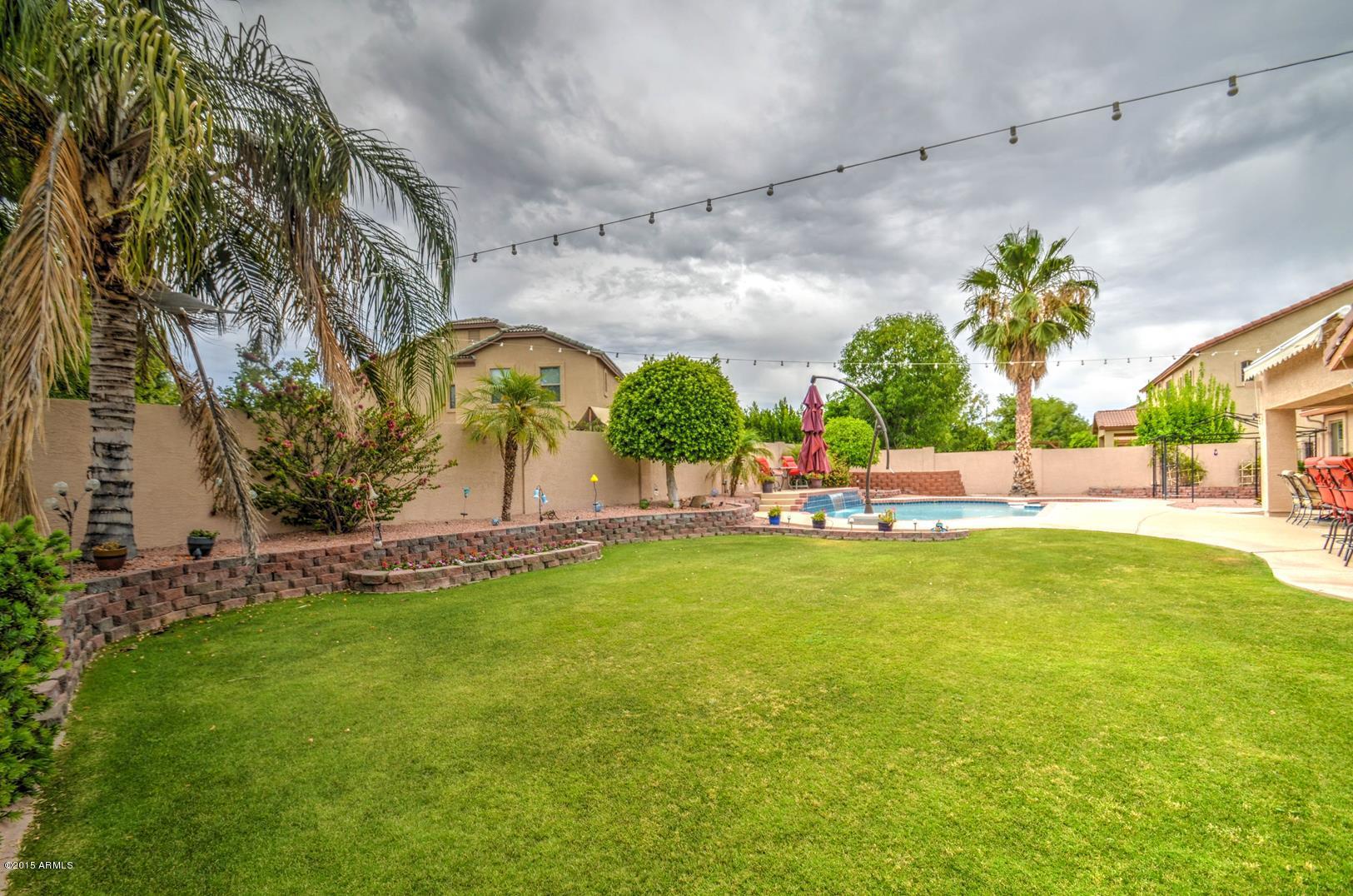 3060 East Hope Street Mesa, AZ 85213 - Photo 37 of 48 Back Yard 1