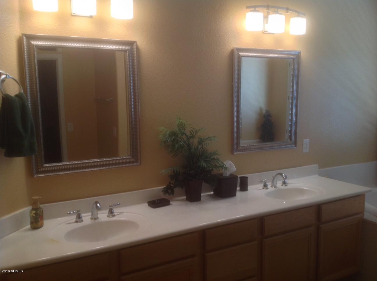 3060 East Hope Street Mesa, AZ 85213 - Photo 47 of 48 Master Bath freshly painted