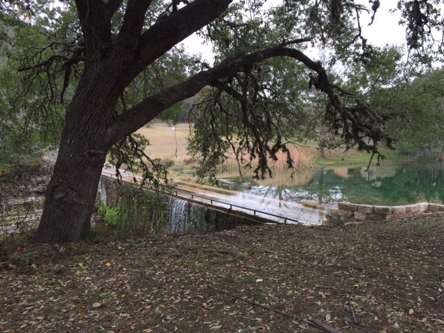 101 Arrowlake Road Wimberley, TX 78676 - Photo 37 of 40 a view of a yard with a tree