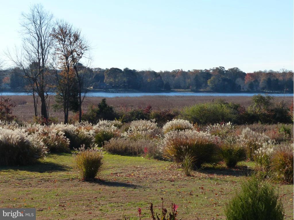 8770 Marsh View Road Easton, MD 21601 - Photo 28 of 30 What a view from owner's suite!