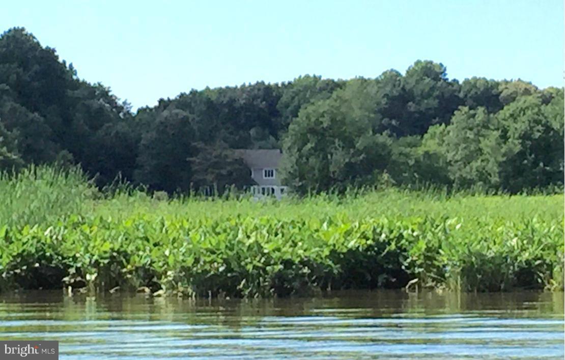 8770 Marsh View Road Easton, MD 21601 - Photo 4 of 30 View of house from the Choptank River