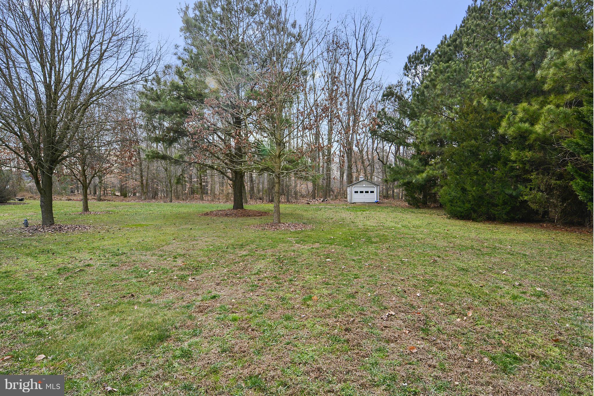 8770 Marsh View Road Easton, MD 21601 - Photo 5 of 30 Side yard with large shed