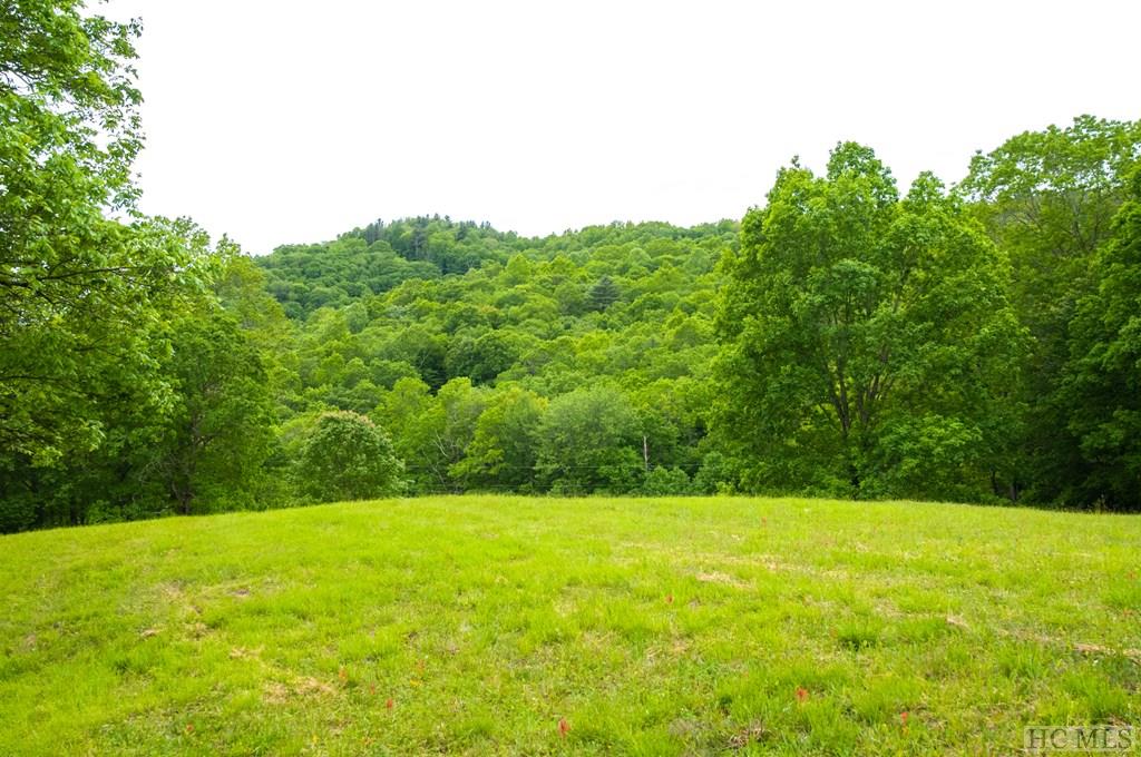 Tbd Bee Tree Road Glenville, NC 28736 - Photo 11 of 26 Gallery Image 11