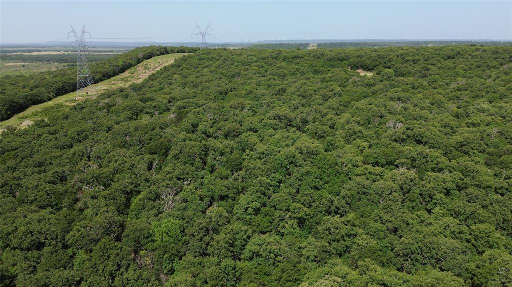 Tbd Nash Road Jacksboro, TX 76458 - Photo 16 of 28 Expansive wooded terrain featuring mature trees and a clear, open sky