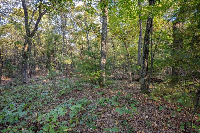 $95,000 | 9.15-acres Arbor Lake South, Lyndon Station, WI 53944