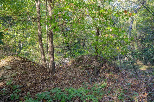 $95,000 | 9.15-acres Arbor Lake South, Lyndon Station, WI 53944