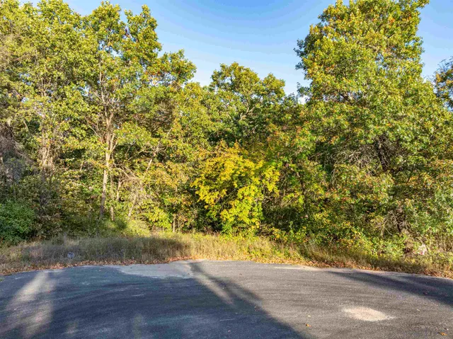 $95,000 | 9.15-acres Arbor Lake South, Lyndon Station, WI 53944