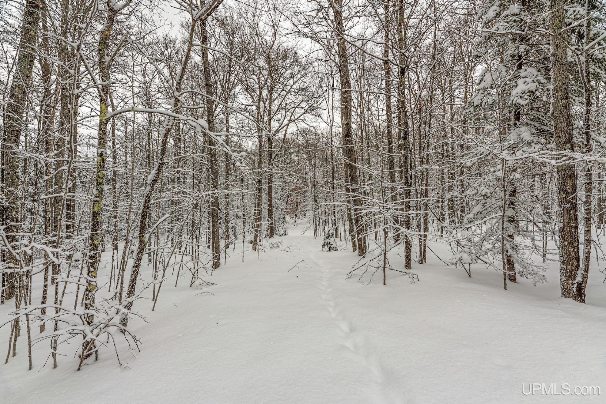 On Eagles Nest Road Phelps, WI 54554 - Photo 9 of 40 Gallery Image 9