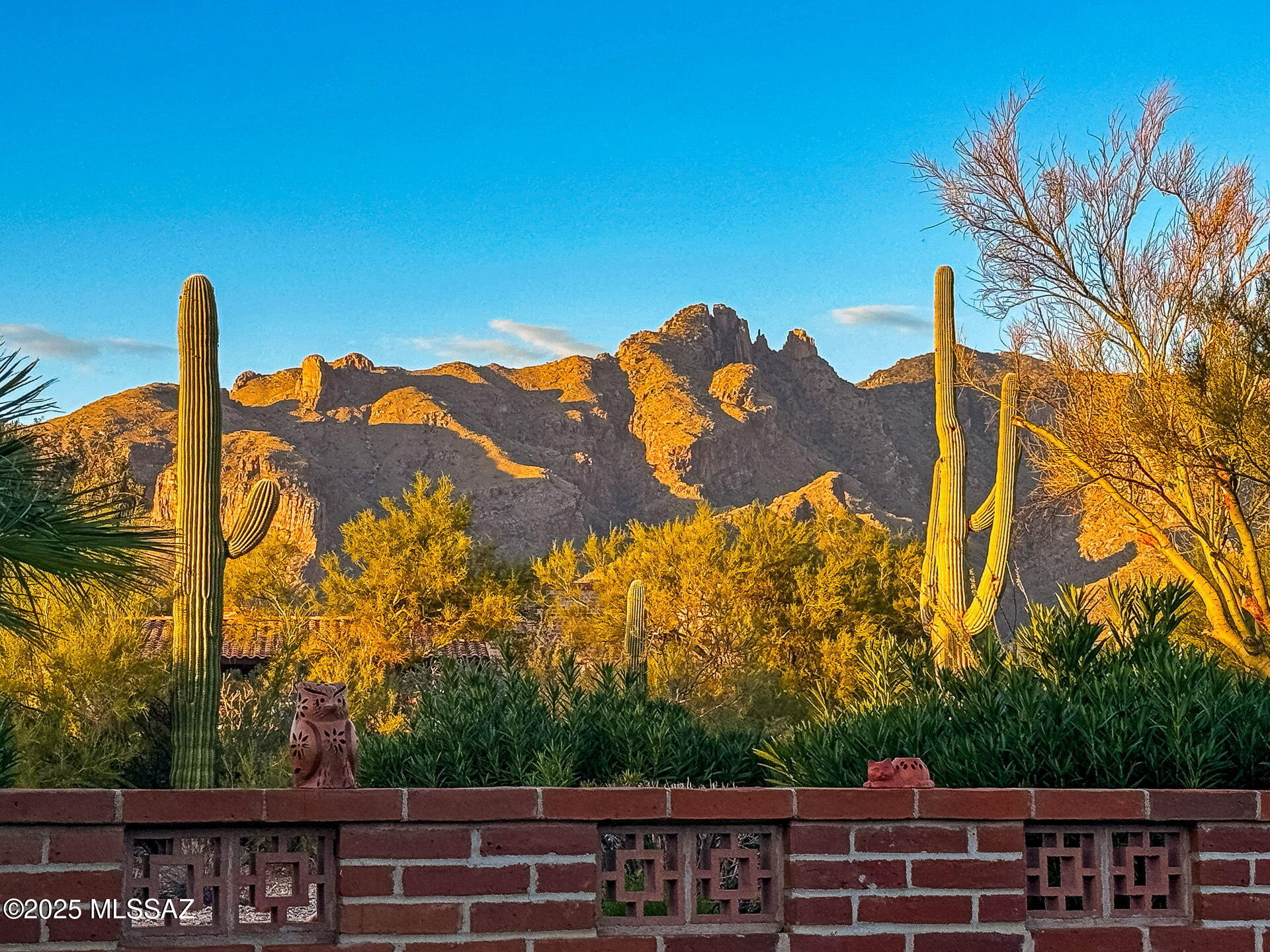8959 East Woodland Road Tucson, AZ 85749 - Photo 34 of 49
