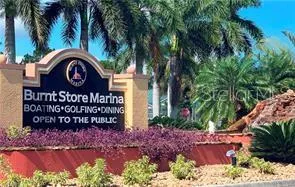 a view of a wooden door with a palm trees