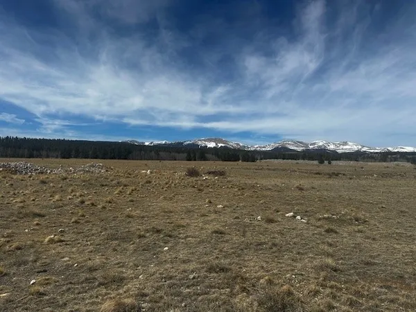 a view of an ocean and beach