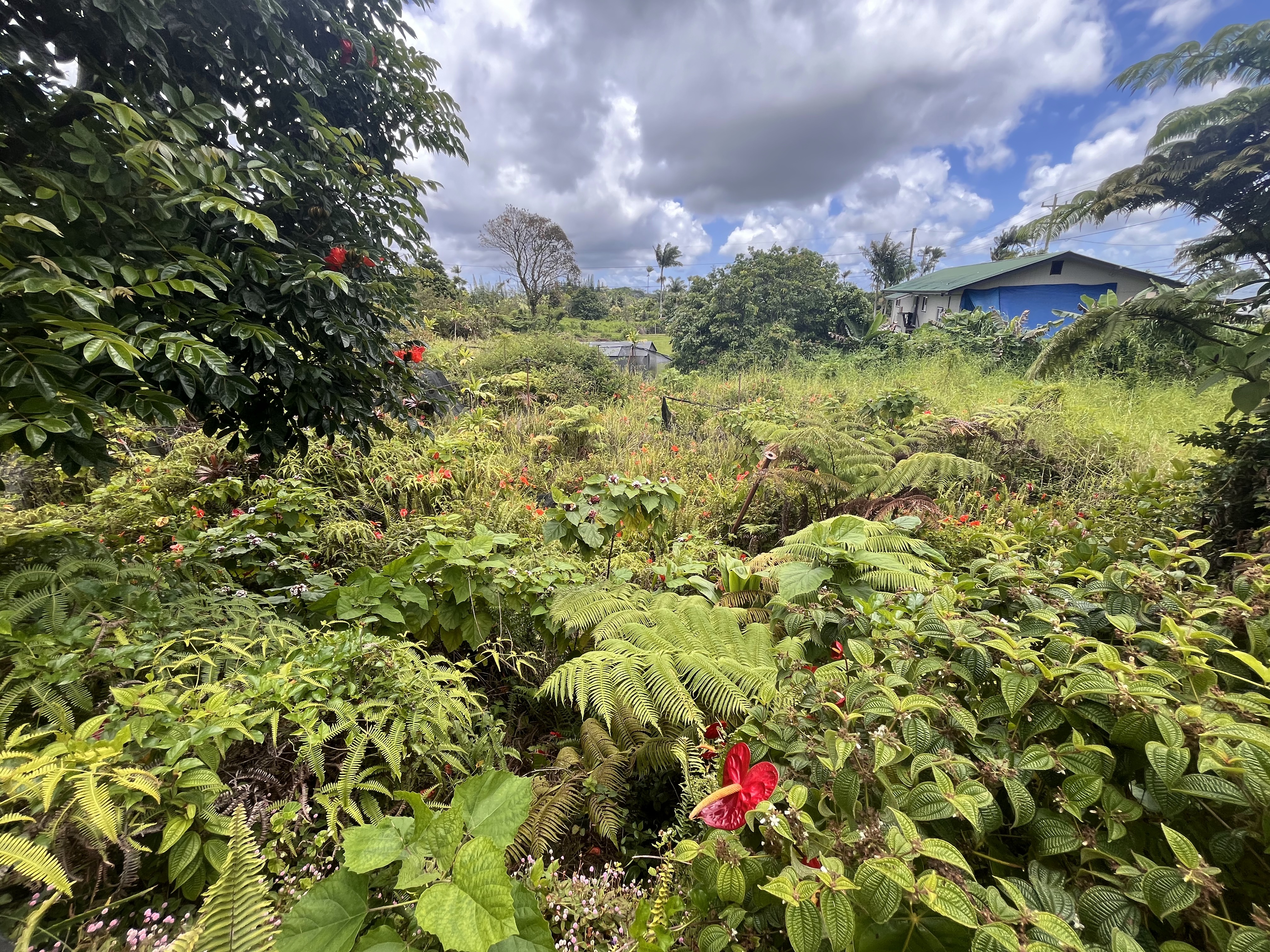18-1270 Volcano Road Mountain View, HI 96771 - Photo 28 of 30