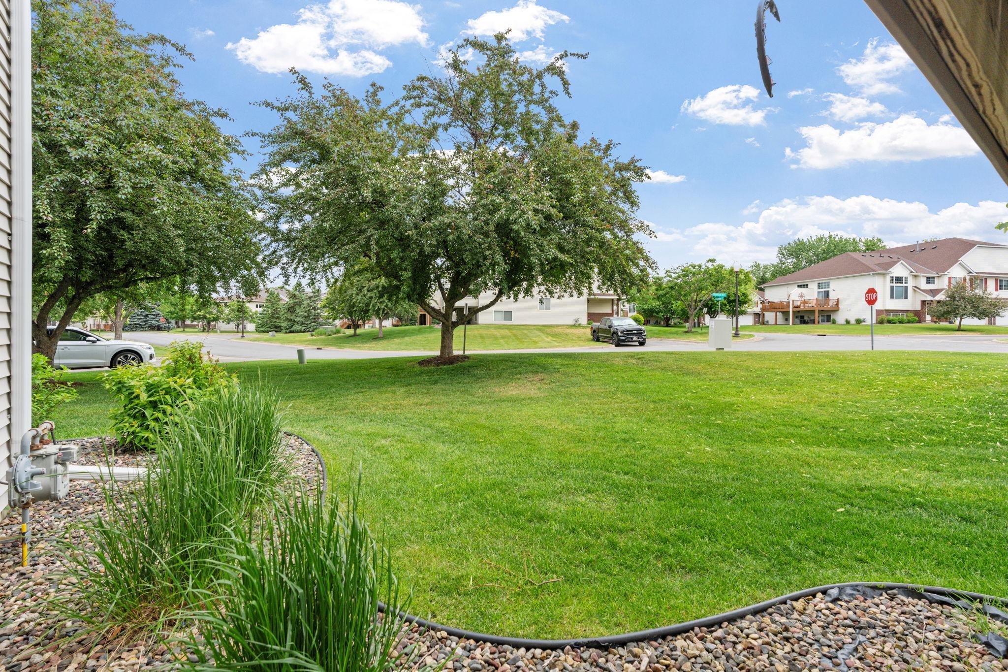 15685 Chestnut Way Rosemount, MN 55068 - Photo 48 of 54