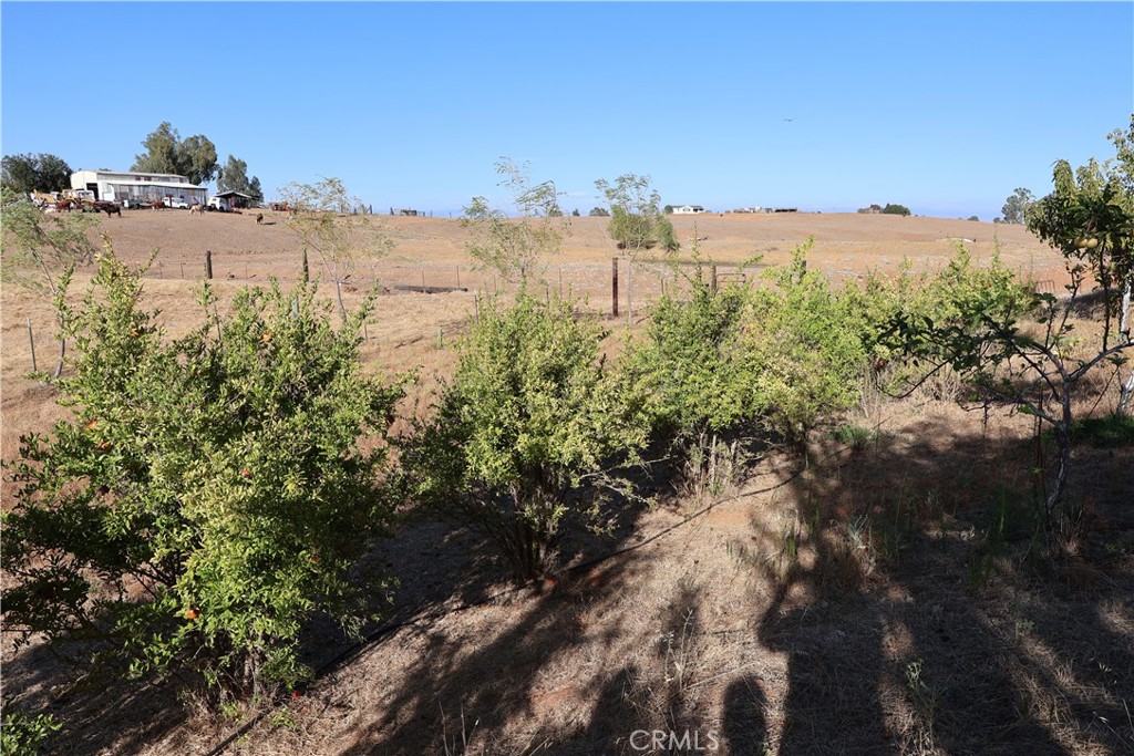 0 Henleyville Road Corning, CA 96021 - Photo 15 of 29 Gallery Image 15