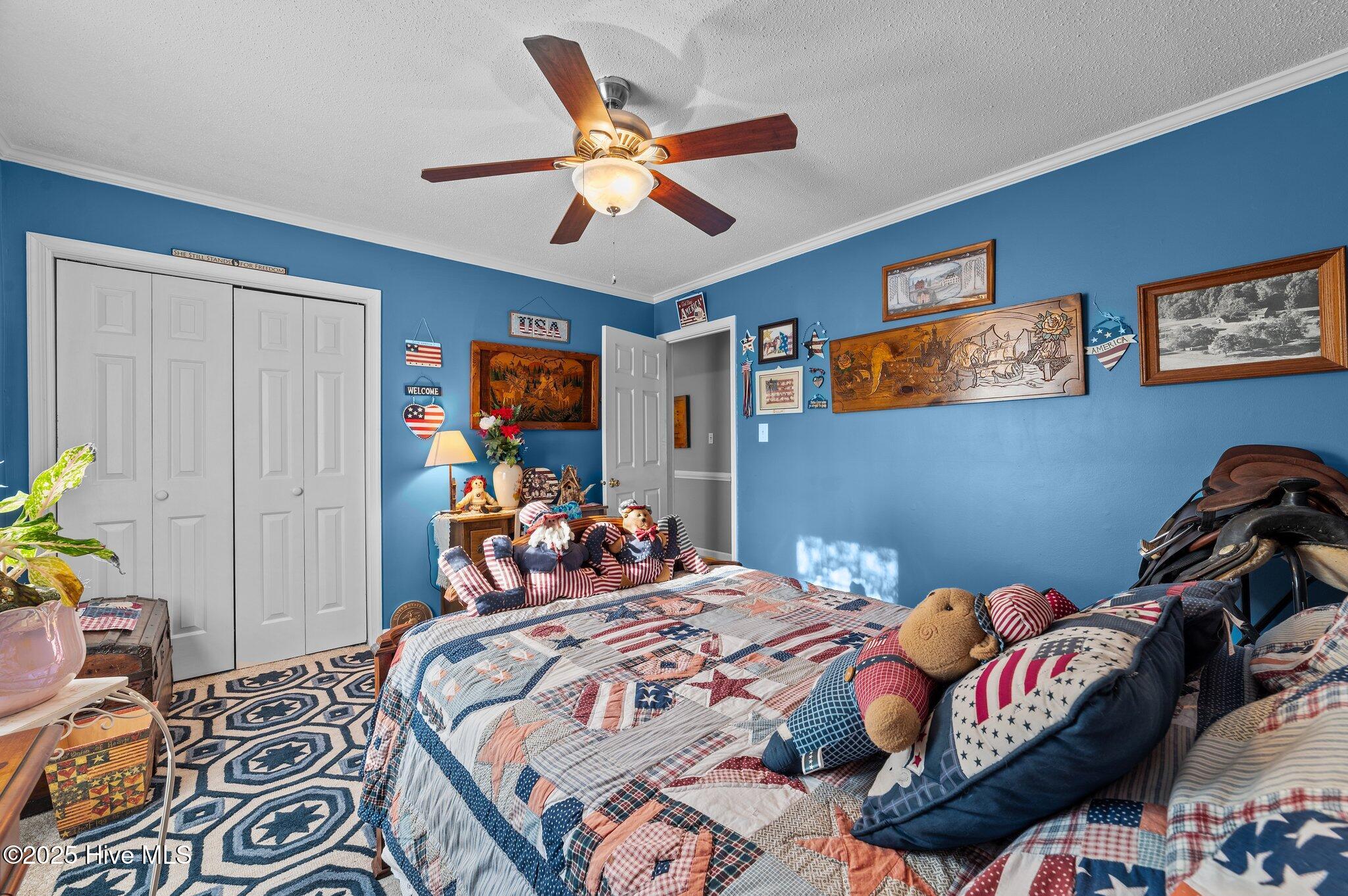3428 Stanley Road Winterville, NC 28590 - Photo 22 of 50 THIRD BEDROOM