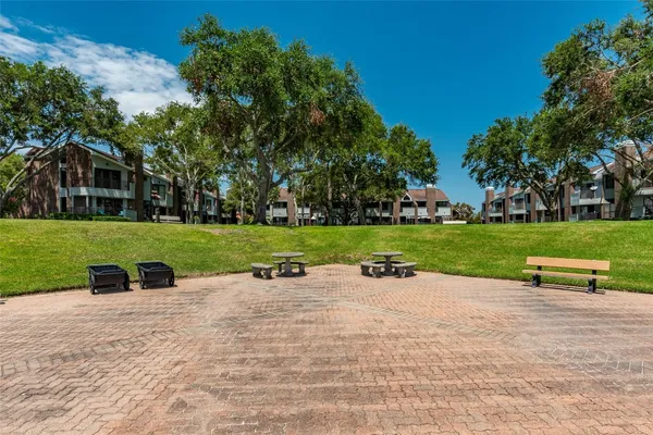 a view of a park with large trees