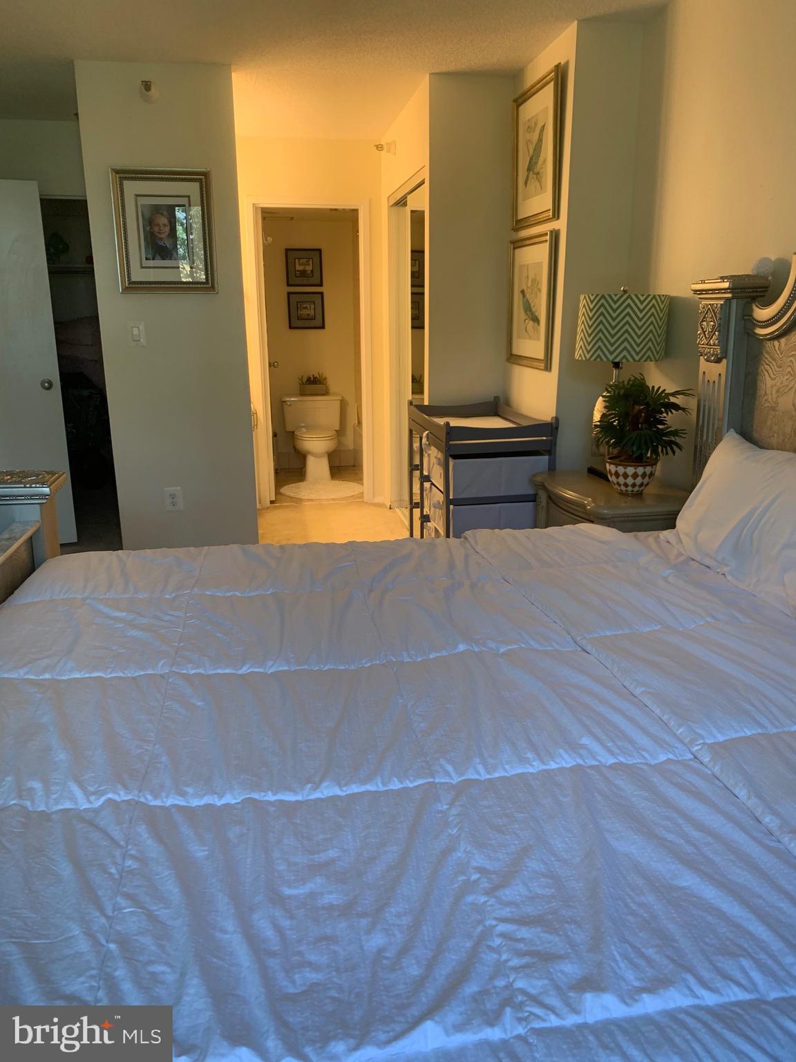 1808 Old Meadow Road, Unit 1115 McLean, VA 22102 - Photo 19 of 31