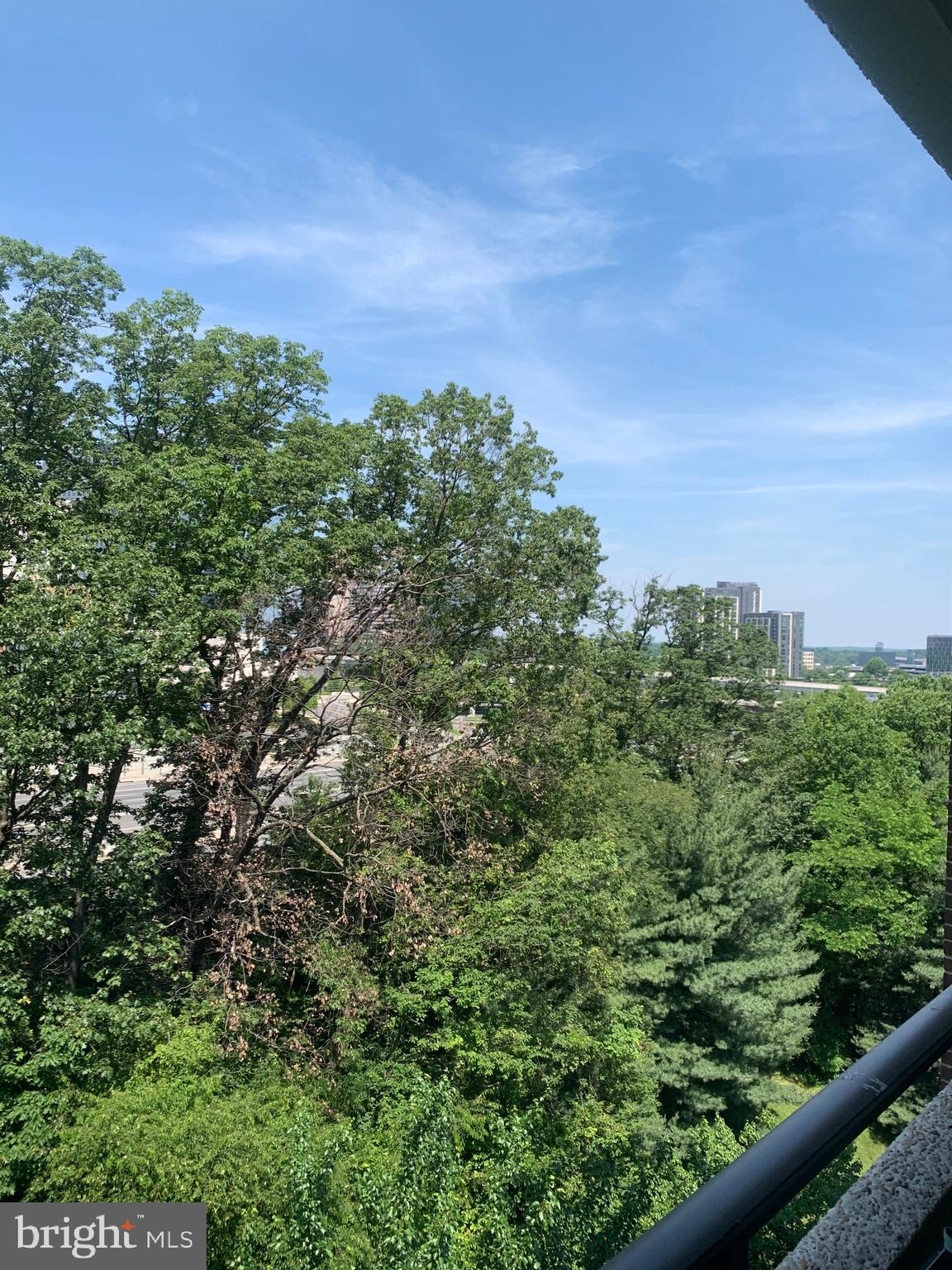 1808 Old Meadow Road, Unit 1115 McLean, VA 22102 - Photo 30 of 31