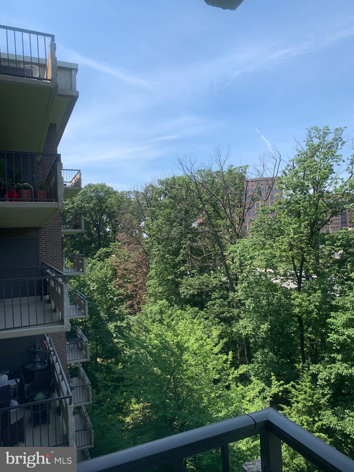 1808 Old Meadow Road, Unit 1115 McLean, VA 22102 - Photo 31 of 31