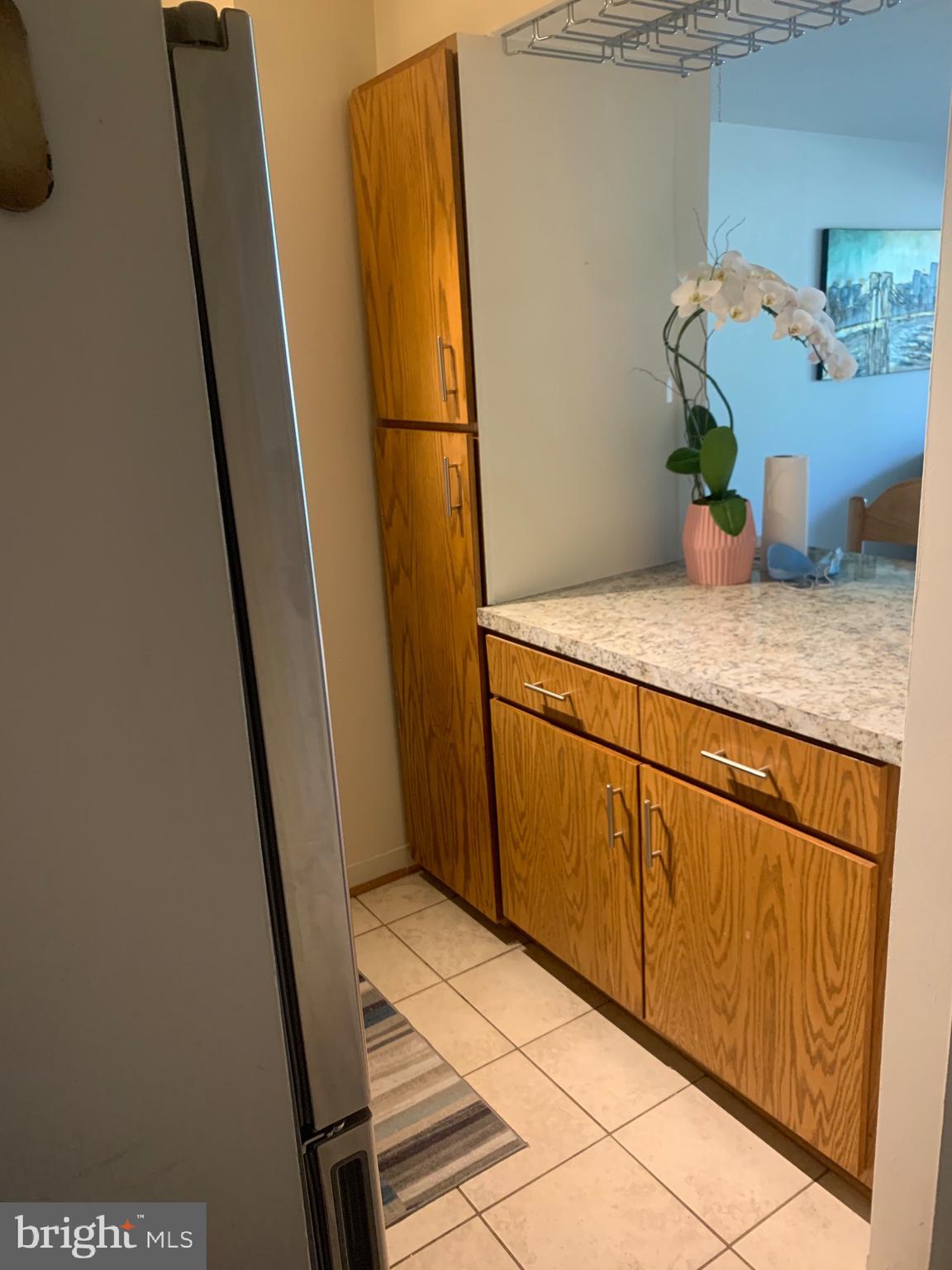 1808 Old Meadow Road, Unit 1115 McLean, VA 22102 - Photo 8 of 31