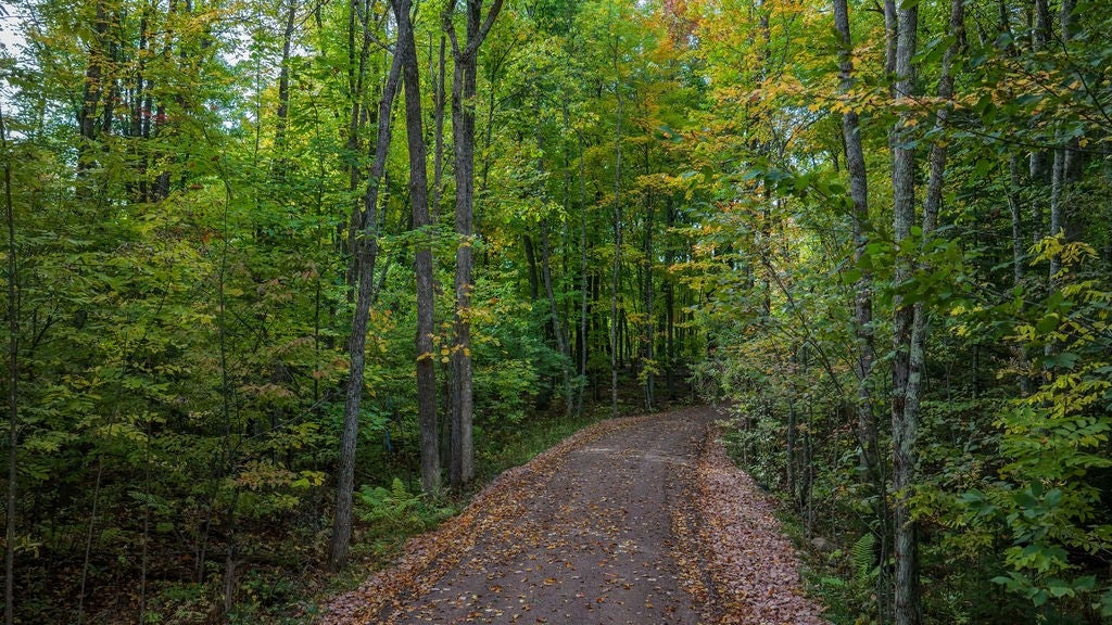 Lot 3 West Nelson Lake Road Hayward, WI 54843 - Photo 17 of 28 Gallery Image 17