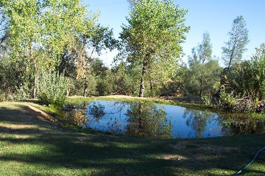 14852 Cloverdale Road Anderson, CA 96007 - Photo 8 of 12 Pond