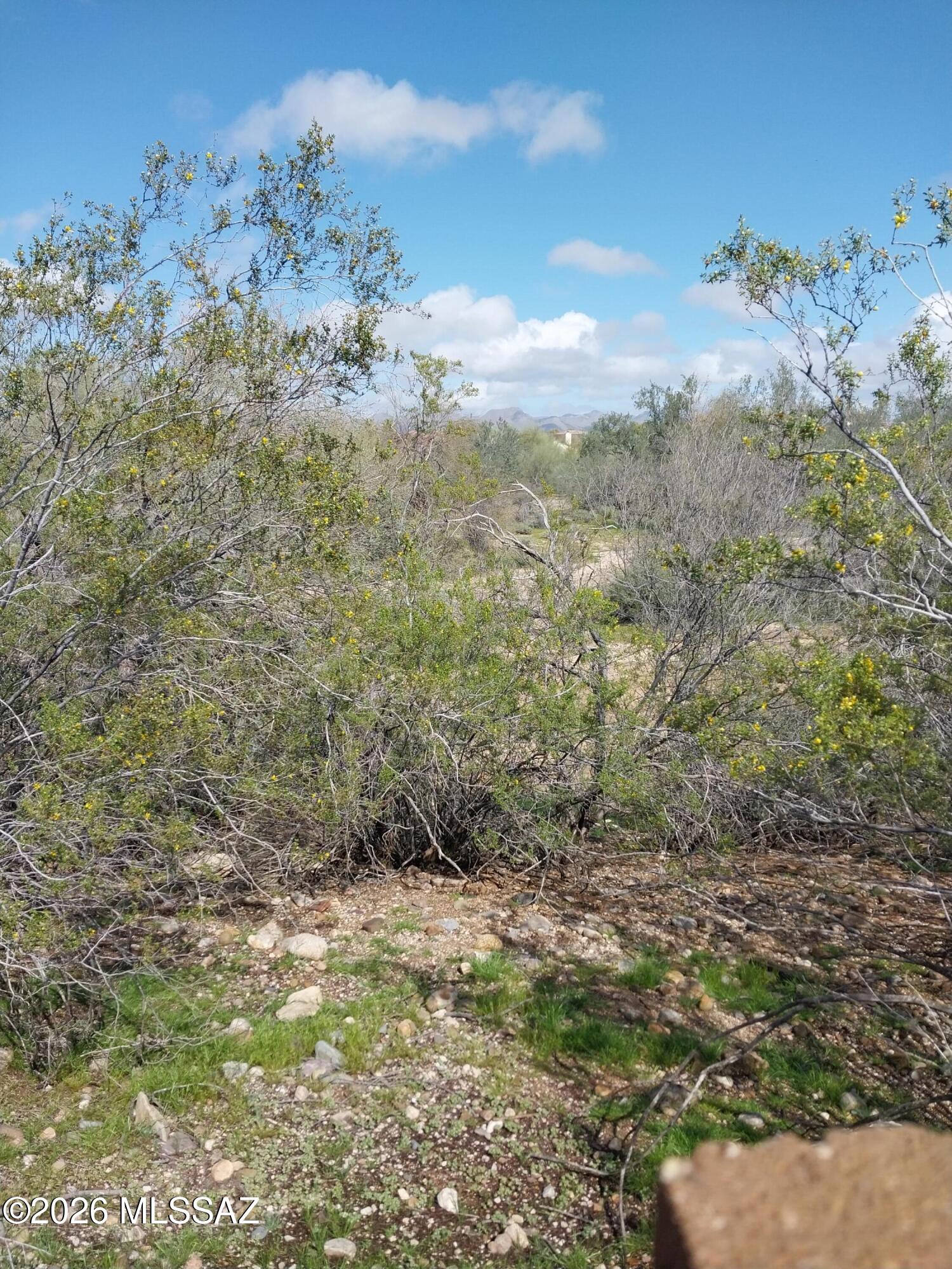 4848 West Hardy Road Tucson, AZ 85742 - Photo 11 of 11 20260219_115047 (1)