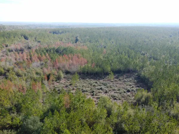 $79,900 | Xxx Northwest Church Road, Altha, FL 32421
