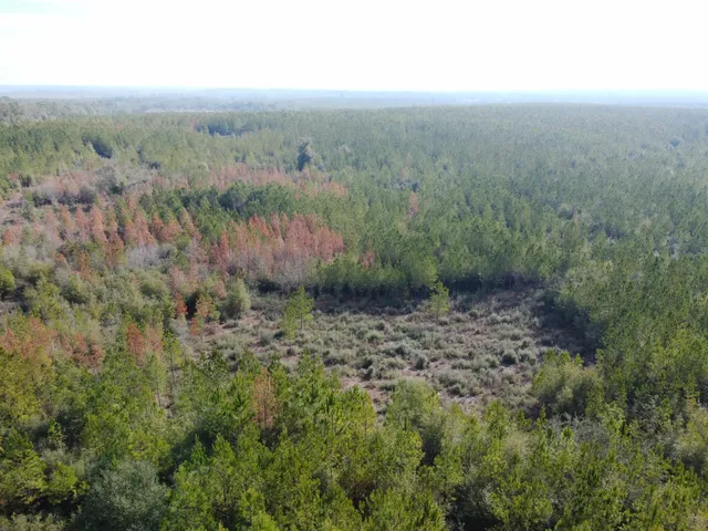 $79,900 | Xxx Northwest Church Road, Altha, FL 32421