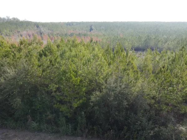 $79,900 | Xxx Northwest Church Road, Altha, FL 32421