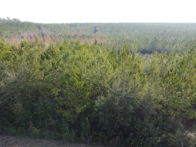 $79,900 | Xxx Northwest Church Road, Altha, FL 32421