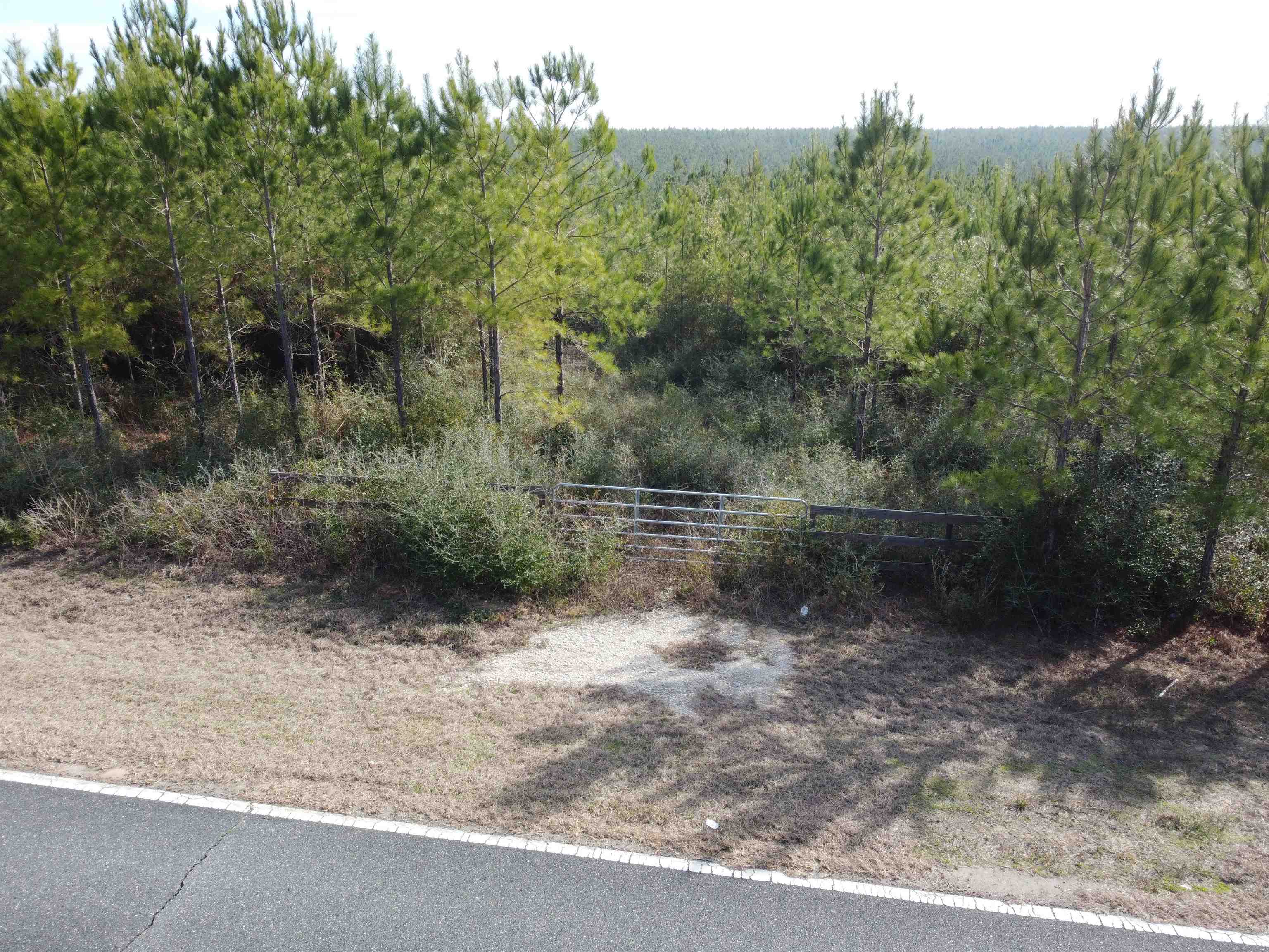 Xxx Northwest Church Road Altha, FL 32421 - Photo 4 of 6