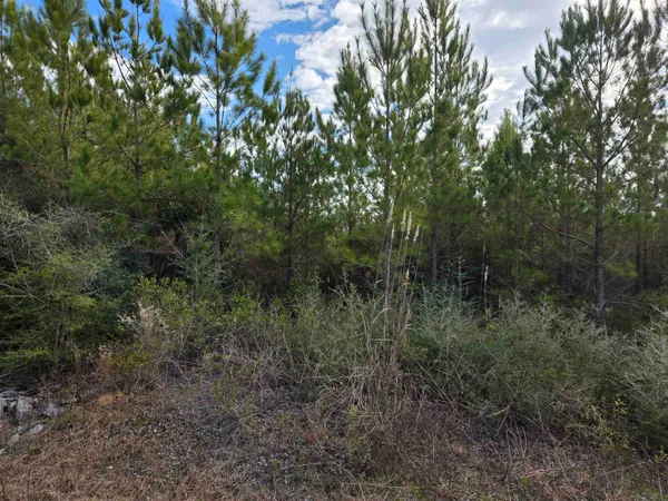 $79,900 | Xxx Northwest Church Road, Altha, FL 32421