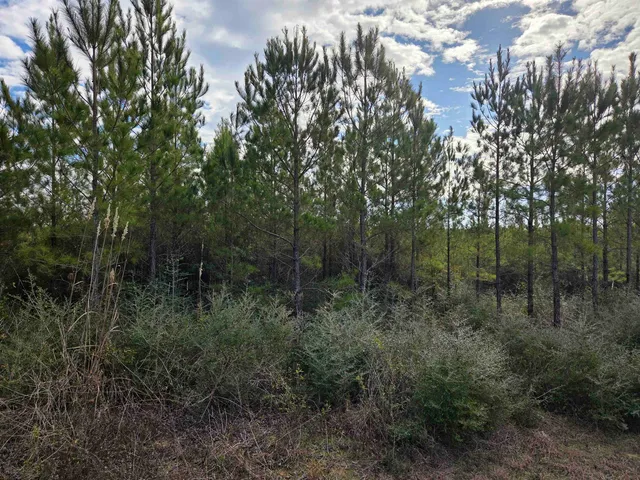 $79,900 | Xxx Northwest Church Road, Altha, FL 32421
