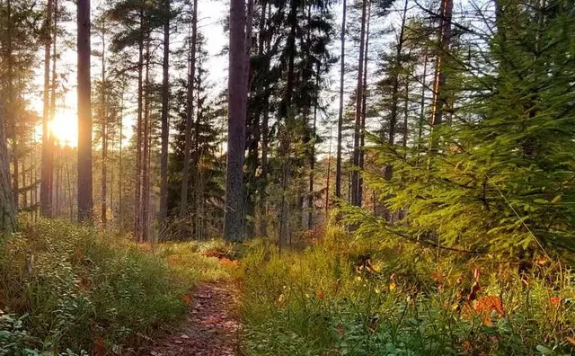 $450,000 | 1605 Sterling Oaks Court Southeast, Ada, MI 49301