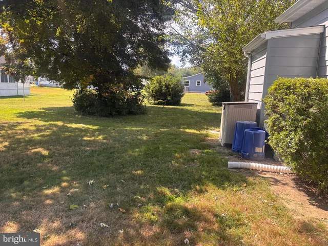 a view of a yard with plants and large trees