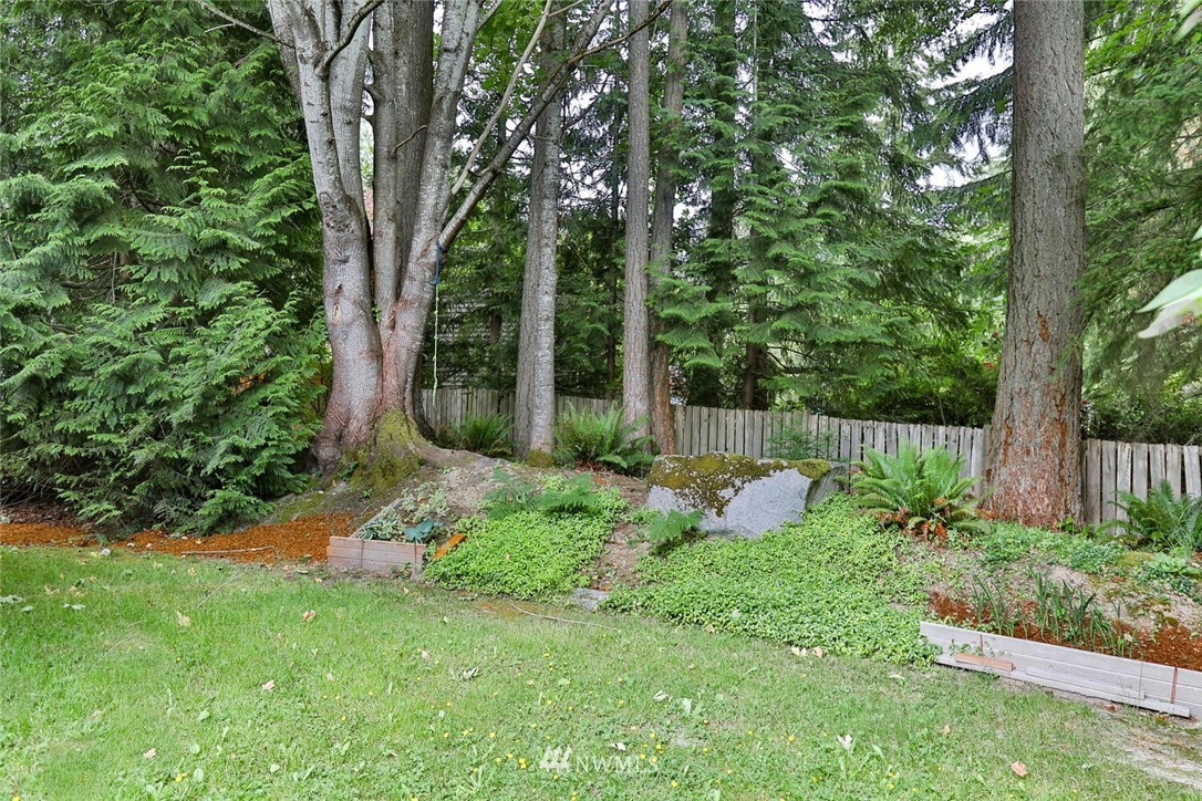 1933 169th Place Southeast Bothell, WA 98012 - Photo 30 of 34 a garden with trees in front of it