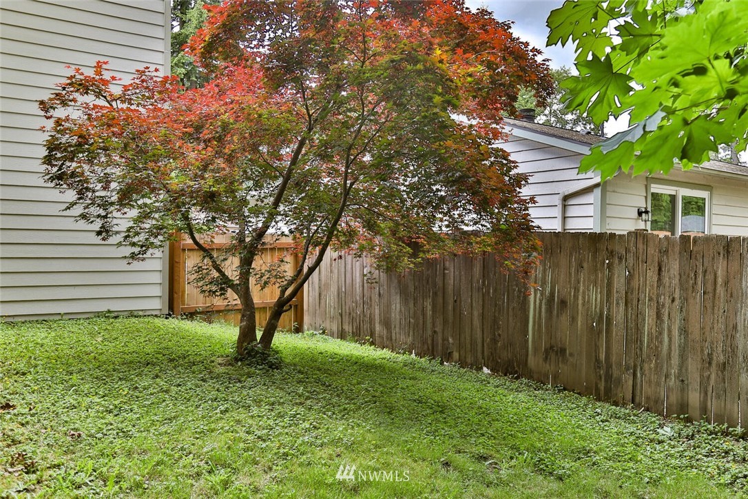 1933 169th Place Southeast Bothell, WA 98012 - Photo 32 of 34 a view of backyard with tree