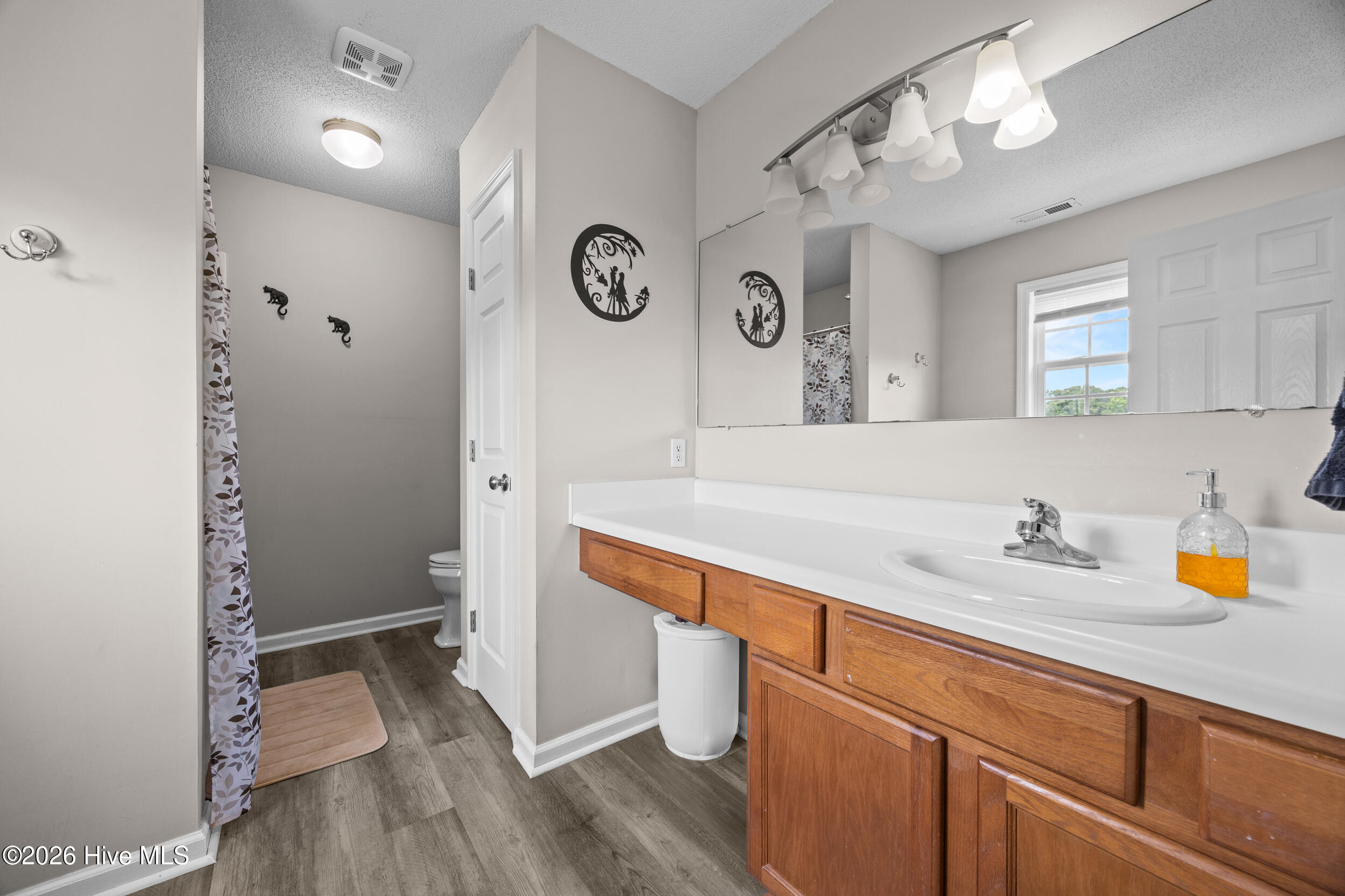 316 Mann Street Hubert, NC 28539 - Photo 33 of 54 33_bathroom