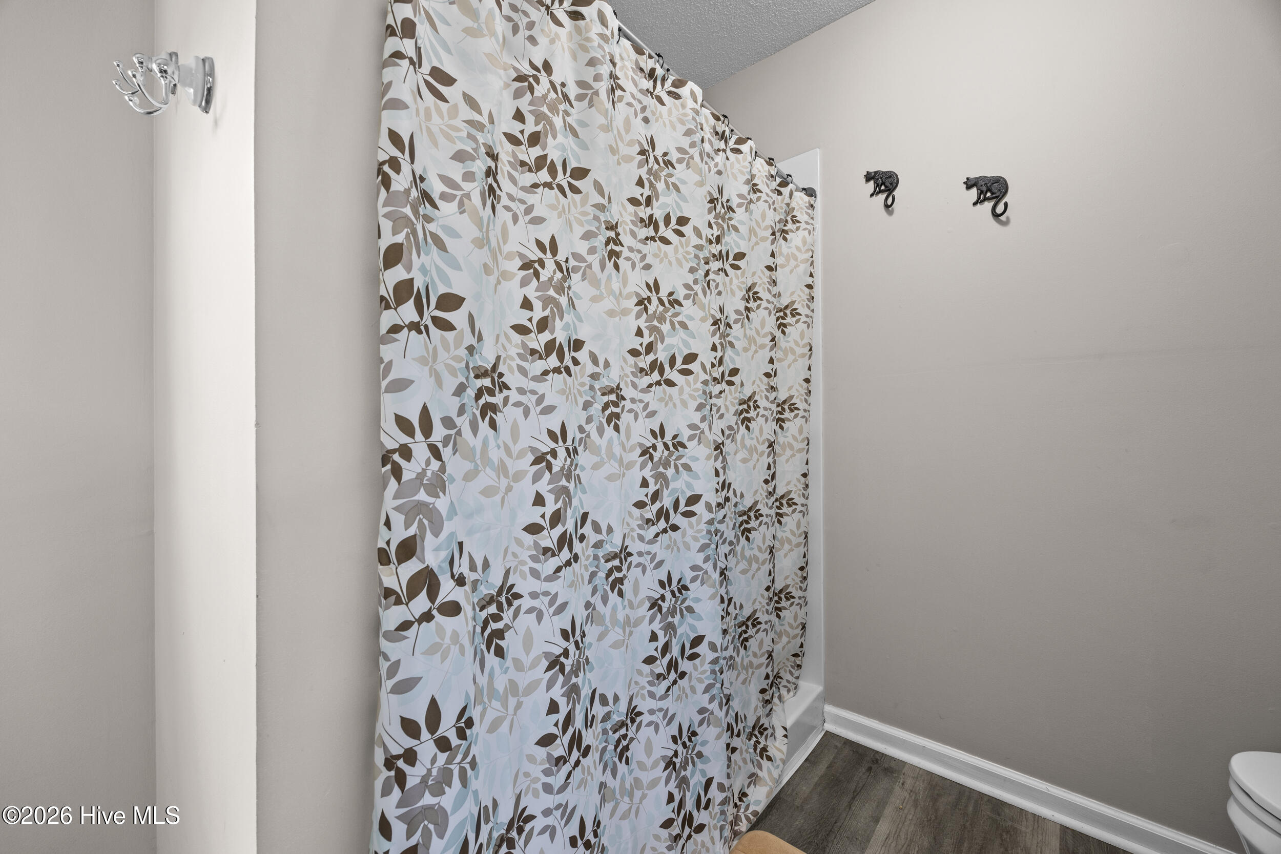 316 Mann Street Hubert, NC 28539 - Photo 34 of 54 34_bathroom