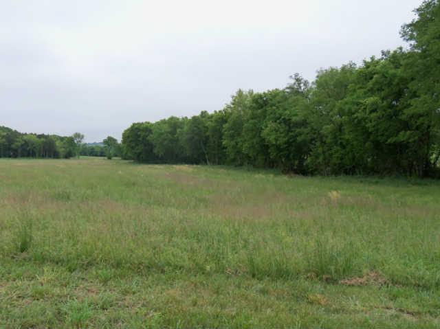 146 Boonshill Road Fayetteville, TN 37334 - Photo 11 of 15 Gallery Image 11