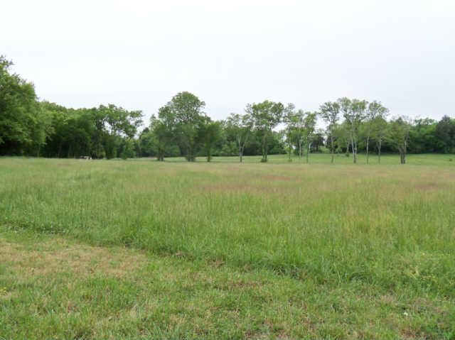 146 Boonshill Road Fayetteville, TN 37334 - Photo 3 of 15 Gallery Image 3