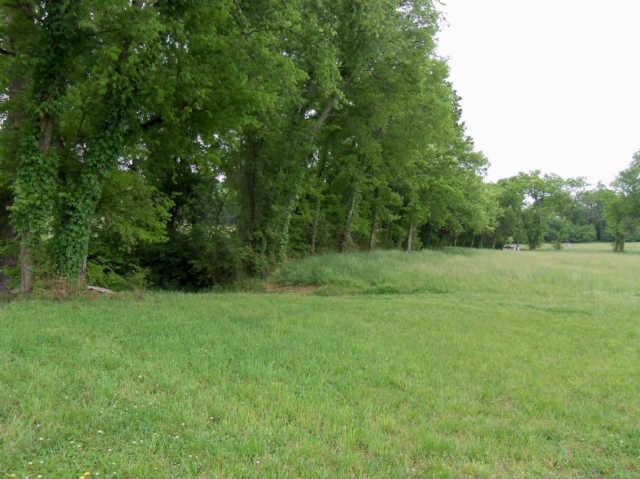146 Boonshill Road Fayetteville, TN 37334 - Photo 8 of 15 Gallery Image 8