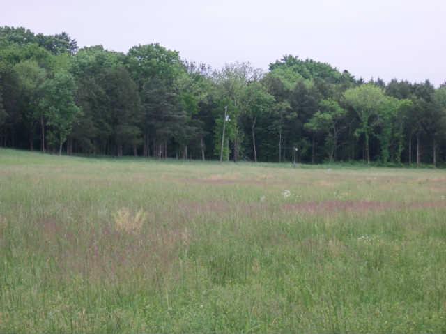 146 Boonshill Road Fayetteville, TN 37334 - Photo 10 of 15 Gallery Image 10